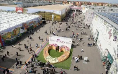 Countdown to Vinitaly: previews of the 2023 edition