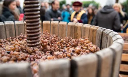 Trentino, spring brings back the wine “divin Nosiola”