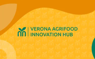 Launch of Verona Agrifood Innovation Hub: a meeting with the entrepreneur Riccardo Illy