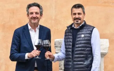 Amarone della Valpolicella, peace done between the Consortium and Famiglie Storiche