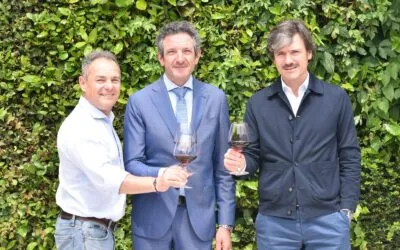 Christian Marchesini confirmed president of the Valpolicella wine consortium  