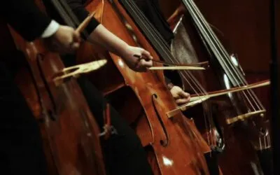 The Quartetto Veneto in San Giovanni Lupatoto between classical music and film soundtracks. The only Veronese stop of the Veneto International Music Festival  