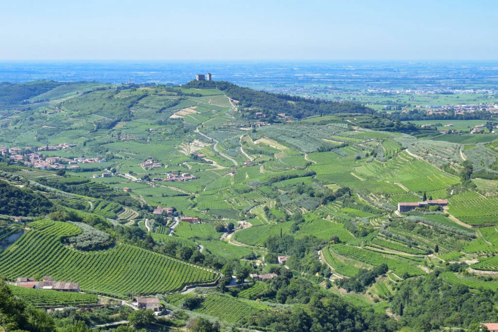 Andrea Lonardi Consorzio Valpolicella