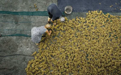 The Veronese photographer who takes his students around the world