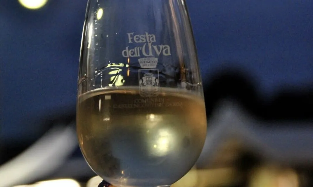 Grape Festival, a weekend full of events in Castelnuovo