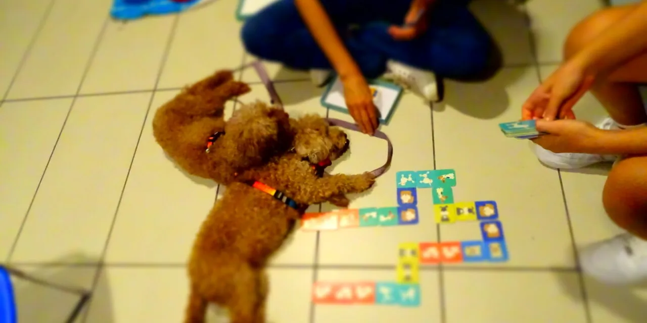 Pediatric pet therapy. At Villafranca Hospital, a new project was born