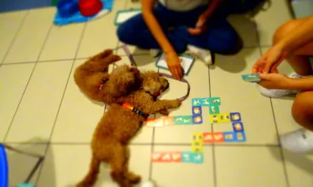 Pediatric pet therapy. At Villafranca Hospital, a new project was born