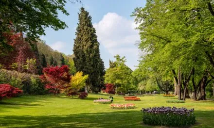 Parco Giardino Sigurtà reopens on March 8, and women will get in for free