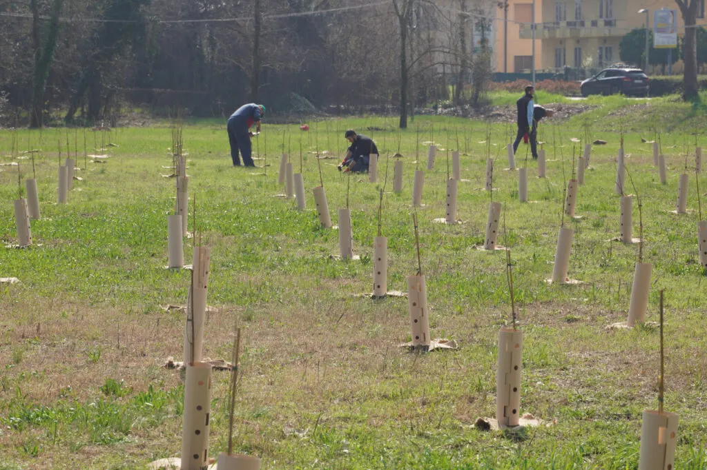 Green Forest Borgo Roma