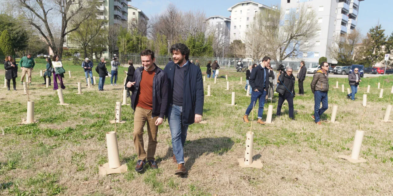 A new green forest in Verona with 1,000 plants in the Borgo Roma neighbourhood