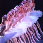 The Swan Lake returns to Verona with an original Fondazione Arena production