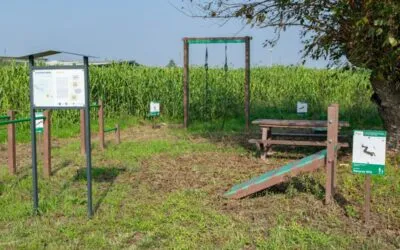 Verona’s first inclusive cycle and pedestrian path made entirely of recycled plastic