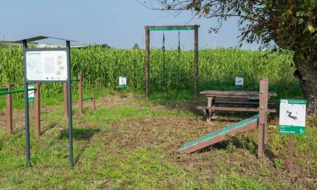 Verona’s first inclusive cycle and pedestrian path made entirely of recycled plastic