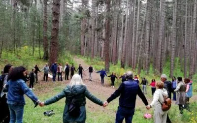 On Monte Baldo ‘Baths in the Forest’, the first certified healing forest in the region