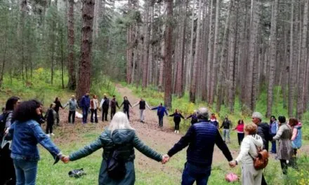 On Monte Baldo ‘Baths in the Forest’, the first certified healing forest in the region