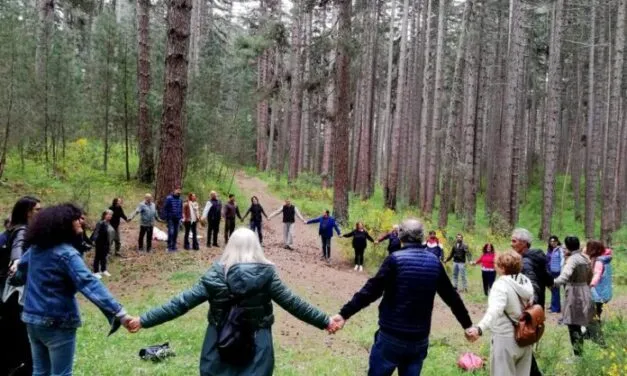 On Monte Baldo ‘Baths in the Forest’, the first certified healing forest in the region