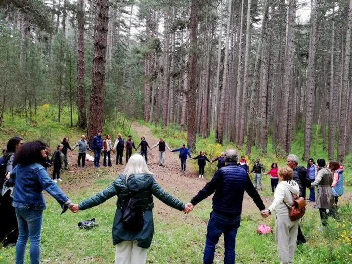 On Monte Baldo ‘Baths in the Forest’, the first certified healing forest in the region